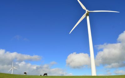 ProÉole Vaud corrige les contre-vérités parues dans le Matin Dimanche du 3 août dernier par des faits!